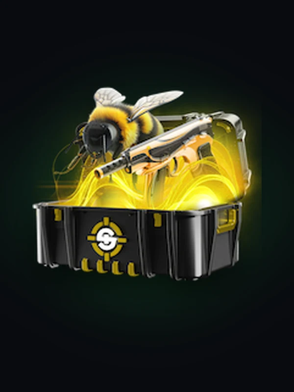 Bumblebee, SkinRave