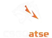 CSGOAtse's own logo